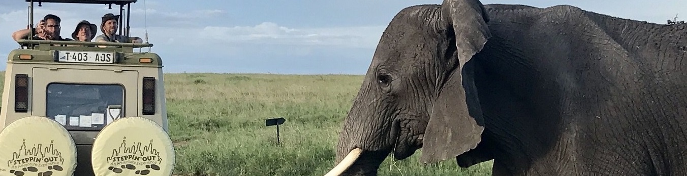 Steppin' Out Adventures